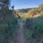 La Corse Authentique Et Rurale