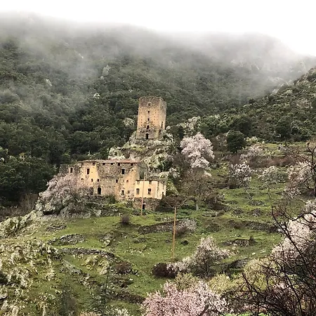 La Corse Authentique Et Rurale