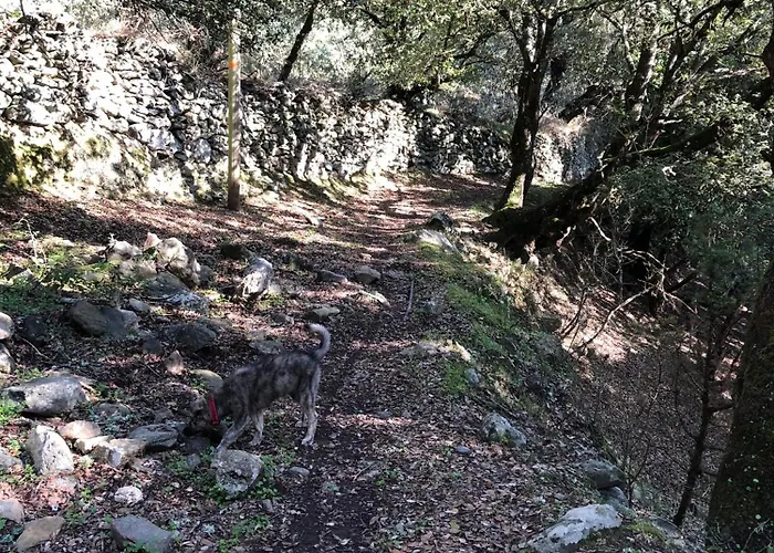 La Corse Authentique Et Rurale *