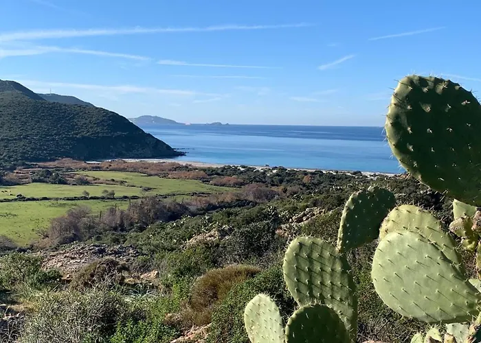 La Corse Authentique Et Rurale Apartment Castifao