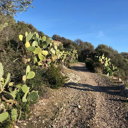 La Corse Authentique Et Rurale Апартаменты *