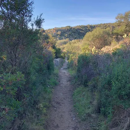 La Corse Authentique Et Rurale