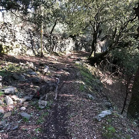 La Corse Authentique Et Rurale *