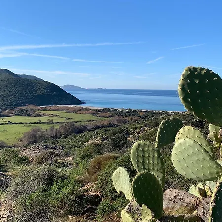 La Corse Authentique Et Rurale Apartment Castifao