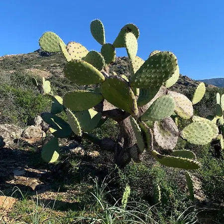 La Corse Authentique Et Rurale Апартаменты *