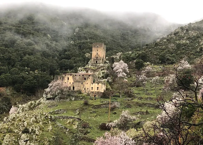 La Corse Authentique Et Rurale