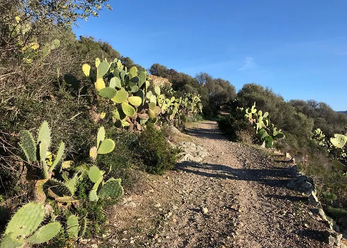La Corse Authentique Et Rurale Διαμέρισμα *