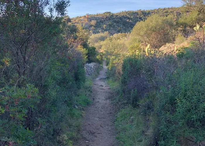 La Corse Authentique Et Rurale