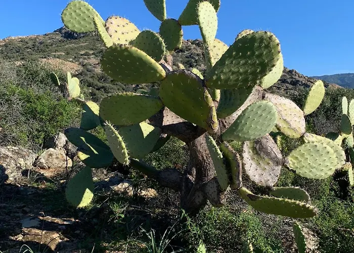 La Corse Authentique Et Rurale Apartment *